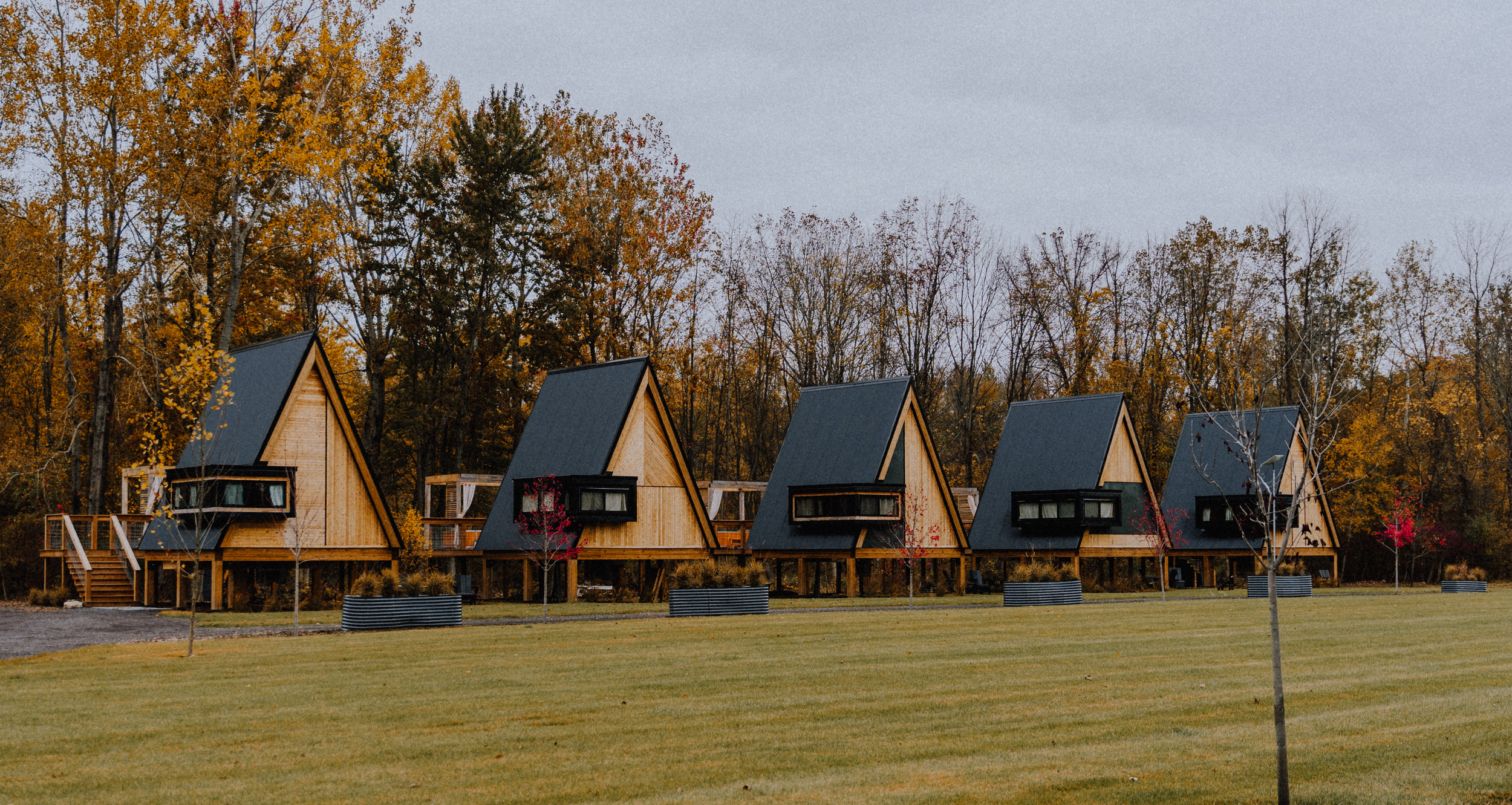 Luxury treehouses in the Finger Lakes