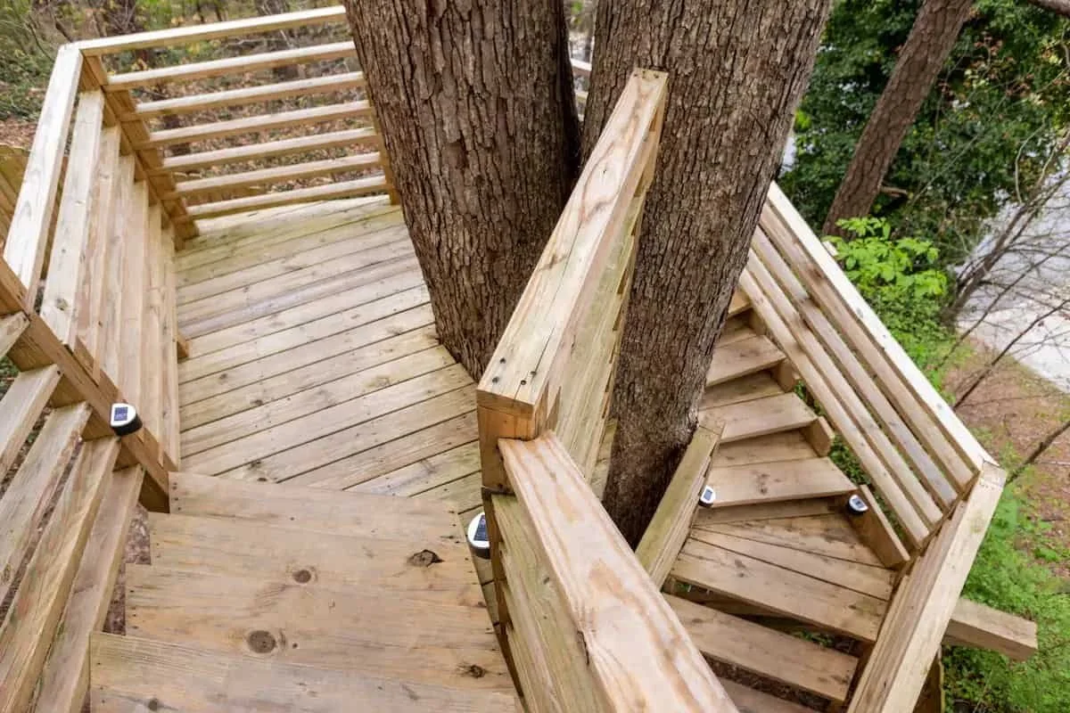 Wooden stairs winding up a large tree trunk towards the cabin