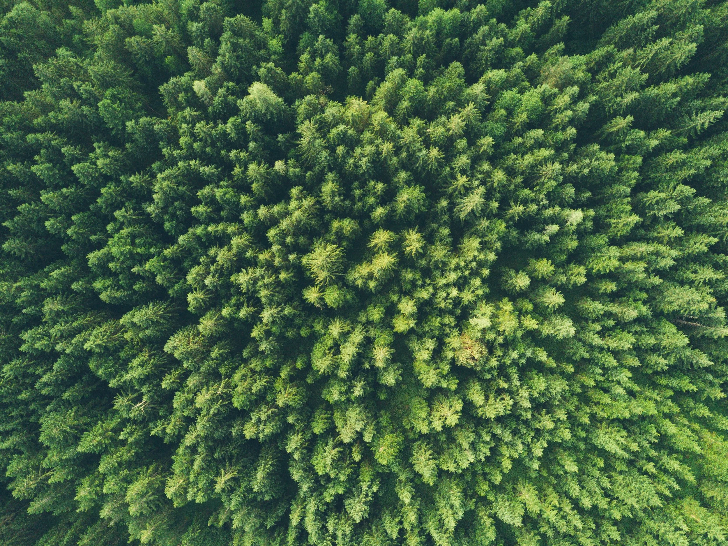 A New Zealand landscape evoking the public-sector environmental context relevant to the Carbon Neutral Government Programme.
