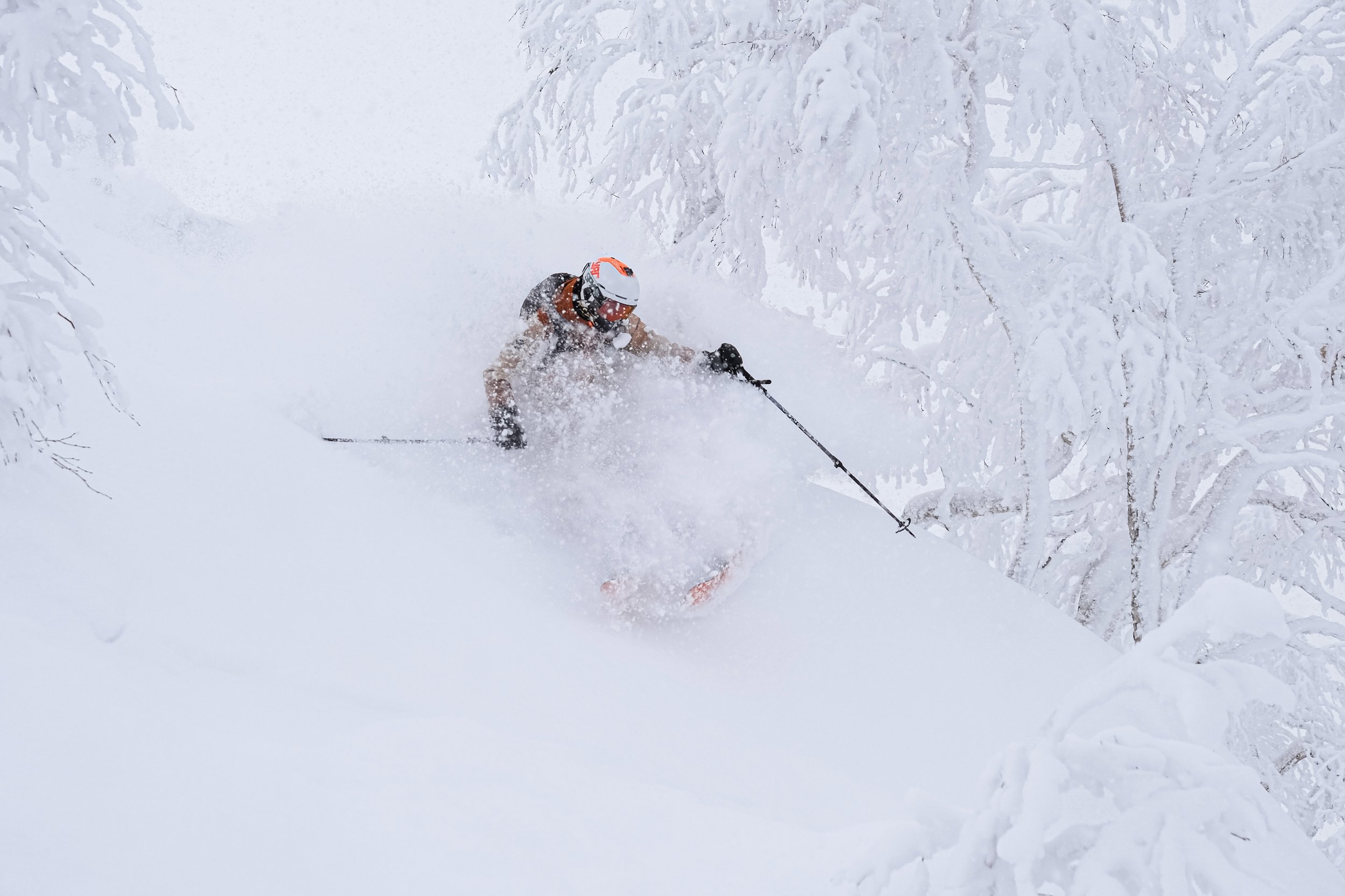 Powder riding Hokkaido