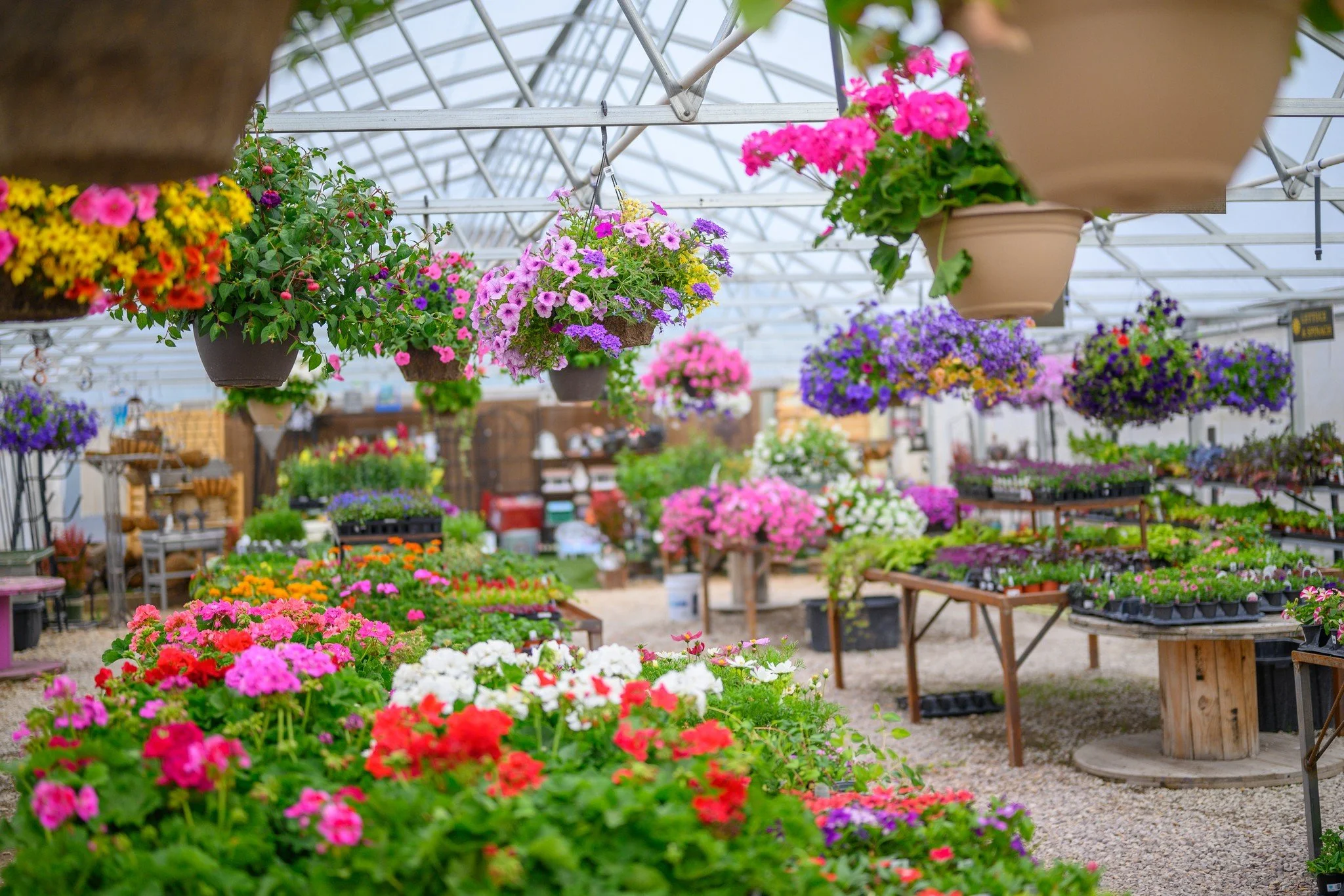 Greenhouse at Country Gardens and Nursery