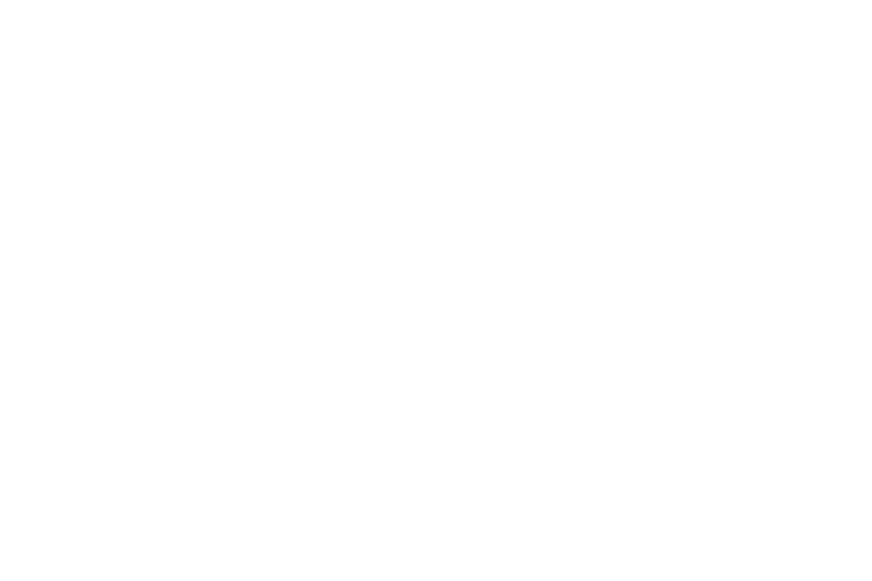 The Today Show