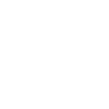 Scottsdale Recovery
