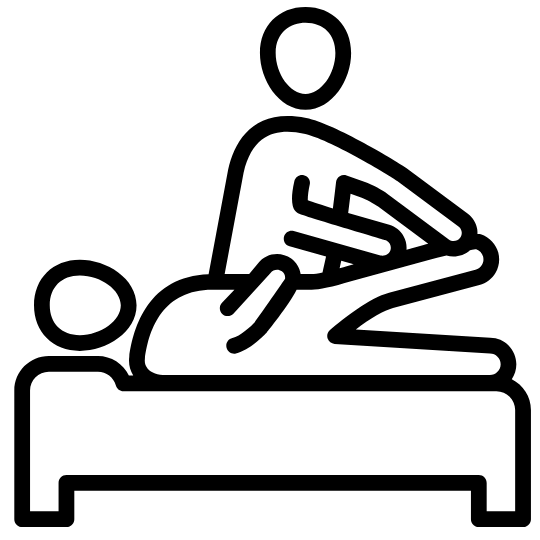 Physical Therapists