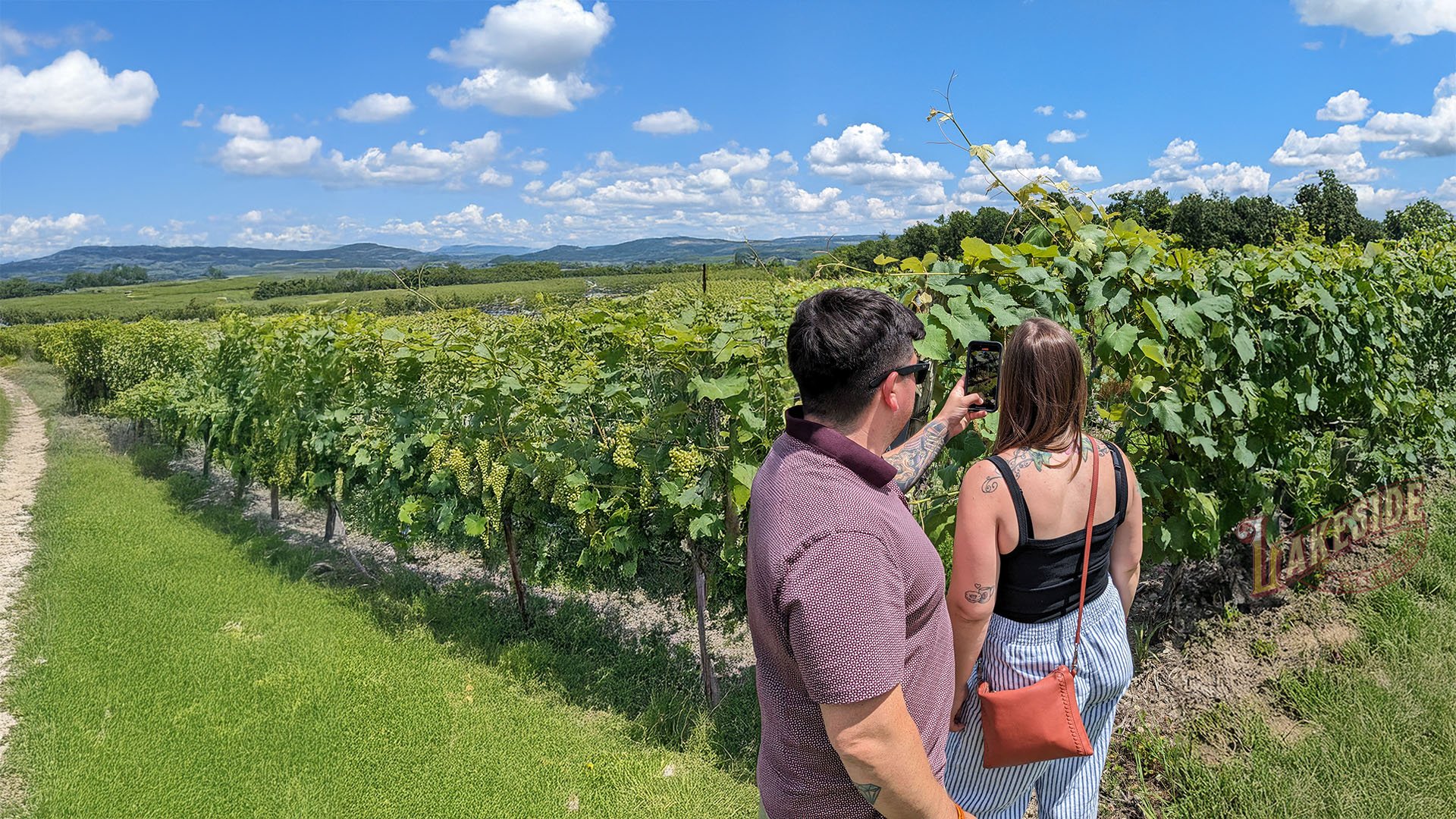 Finger Lakes Uncorked Tour Image