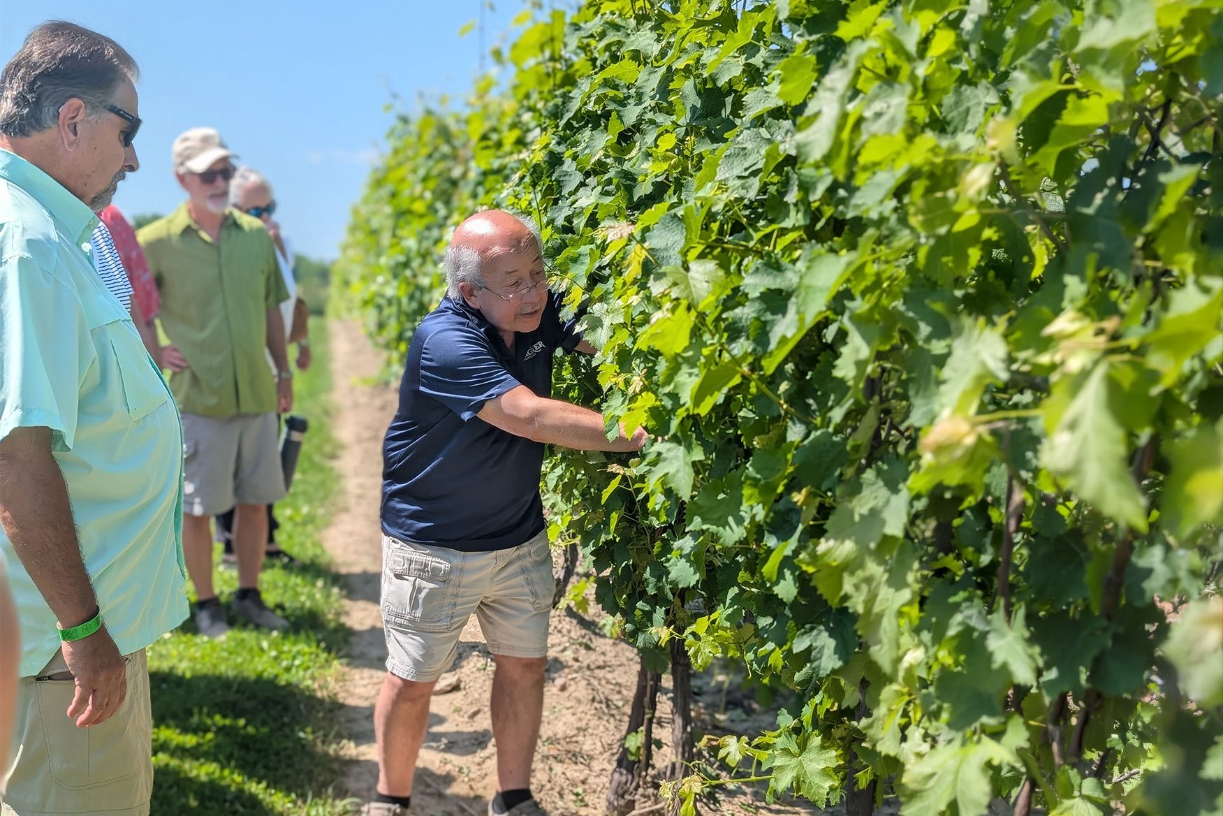 Behind-the-scenes winery experience during a Finger Lakes wine tour from Watkins Glen