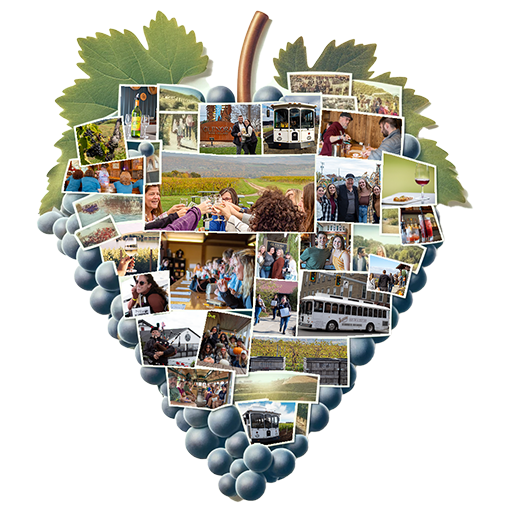 Collage of Seneca Lake Winery Tours