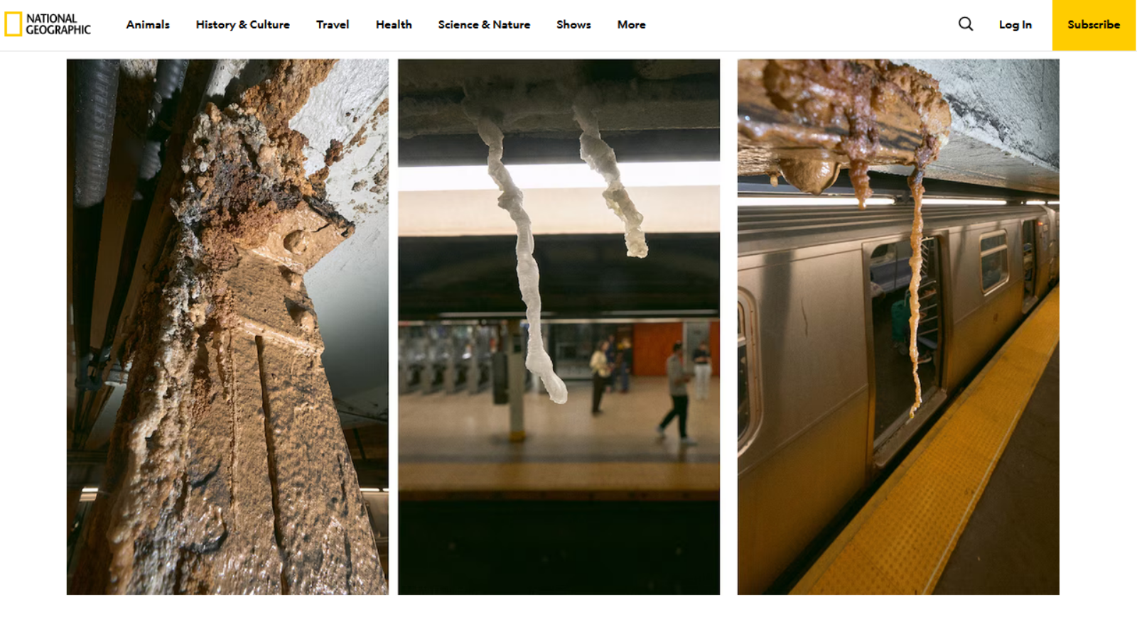 [[ALT: one line describing the photo]]