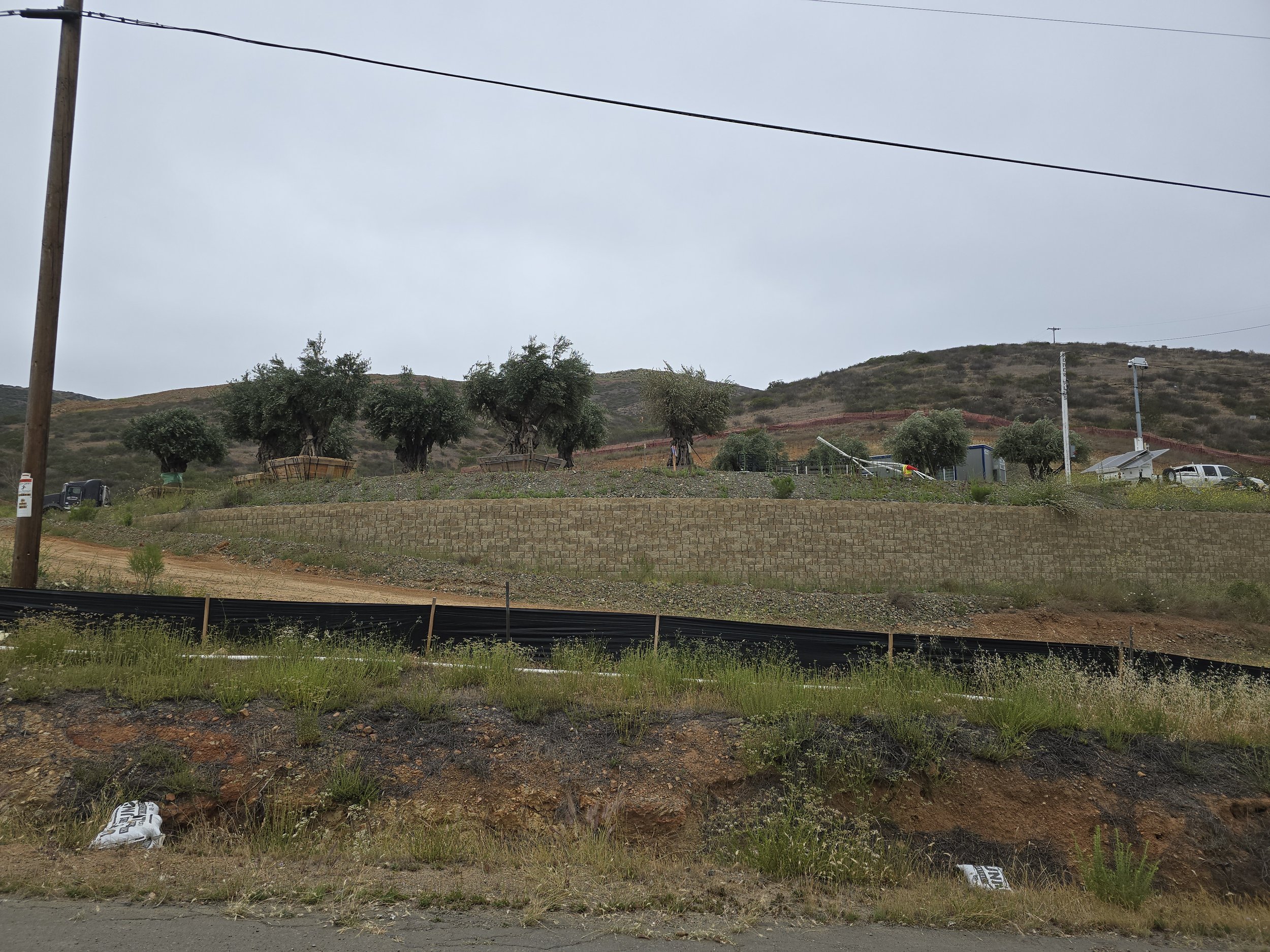 Mediterranean Countryside