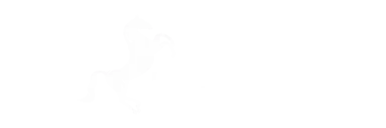 Ecurie Motor Club