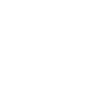 Executive Loneliness