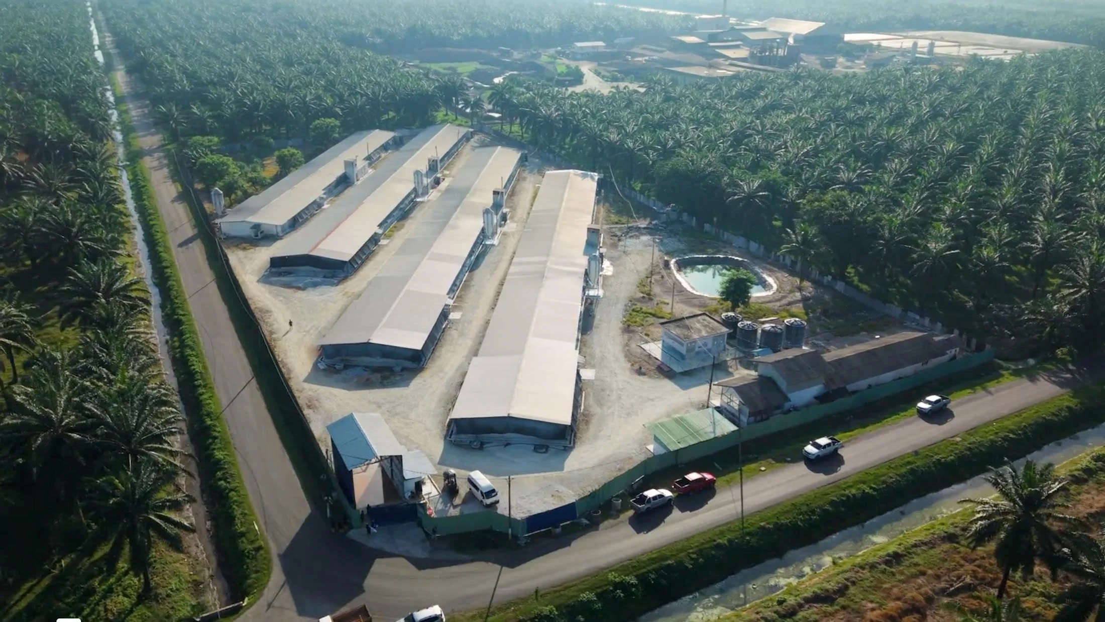 Farmiera Holdings farm — aerial view