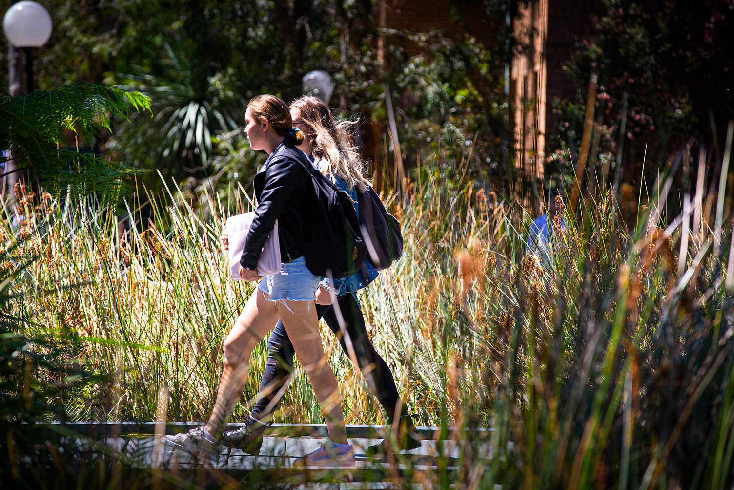 University of Wollongong campus