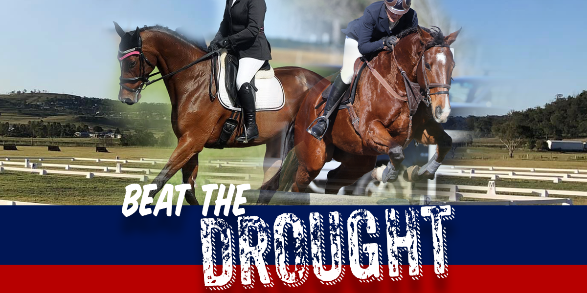 Beat the Drought