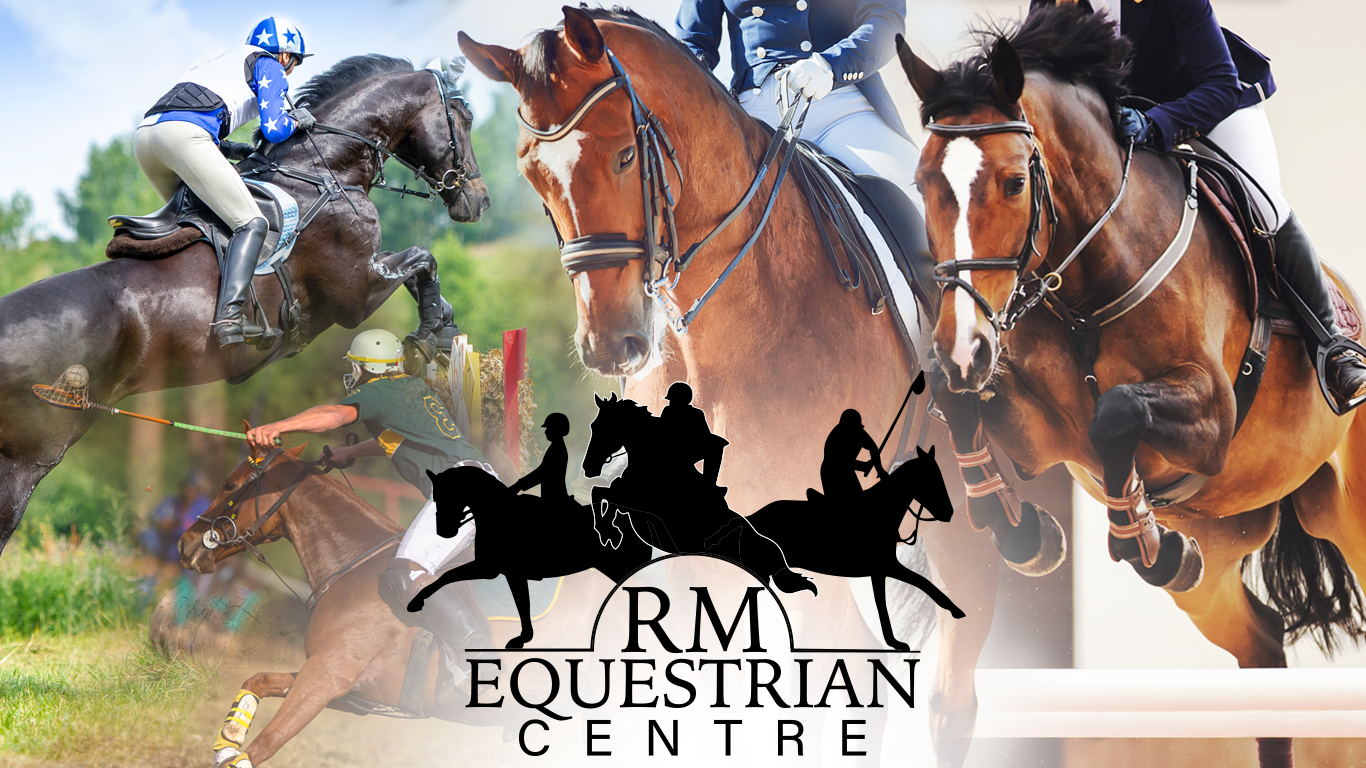 RM Equestrian Centre — riders competing in cross country, dressage, polocrosse and showjumping