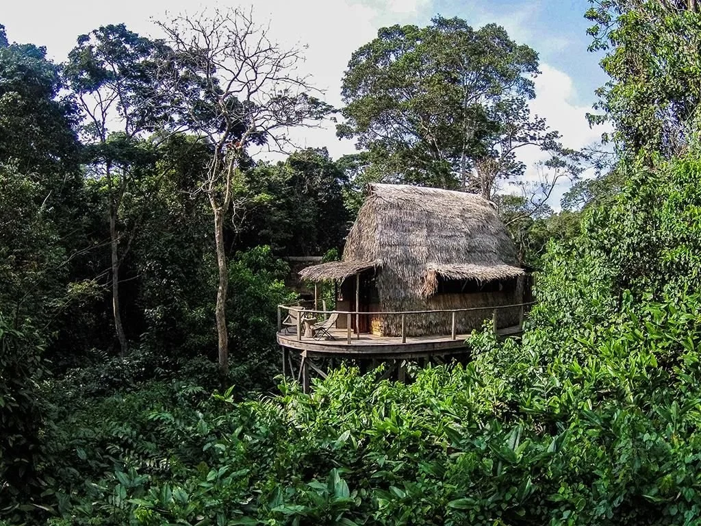 Treehouse chalet at Ngaga Lodge in the Congo Basin rainforest