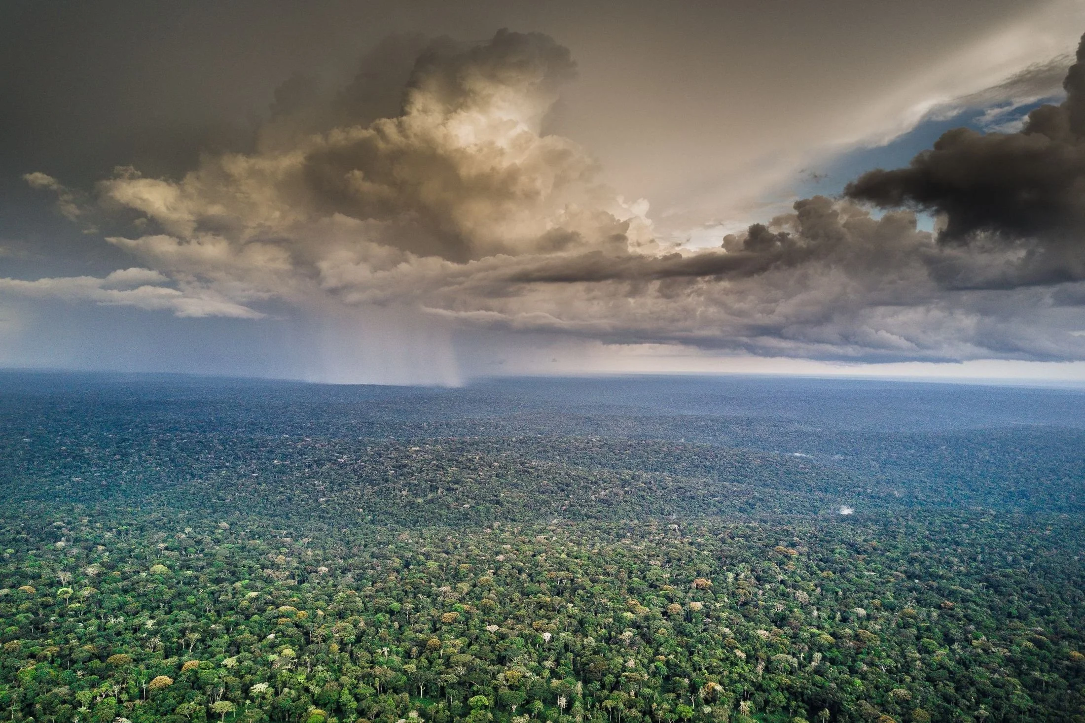 Storm clouds over the unbroken Congo Basin rainforest canopy, Republic of the Congo