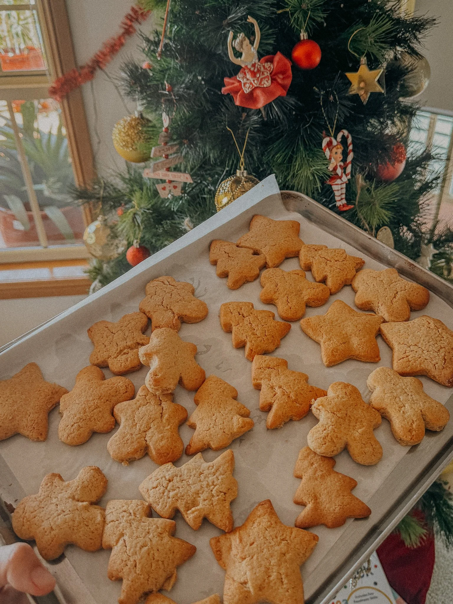 Honey Gingerbread Cookies Recipe Honey Gingerbread Cookies Recipe