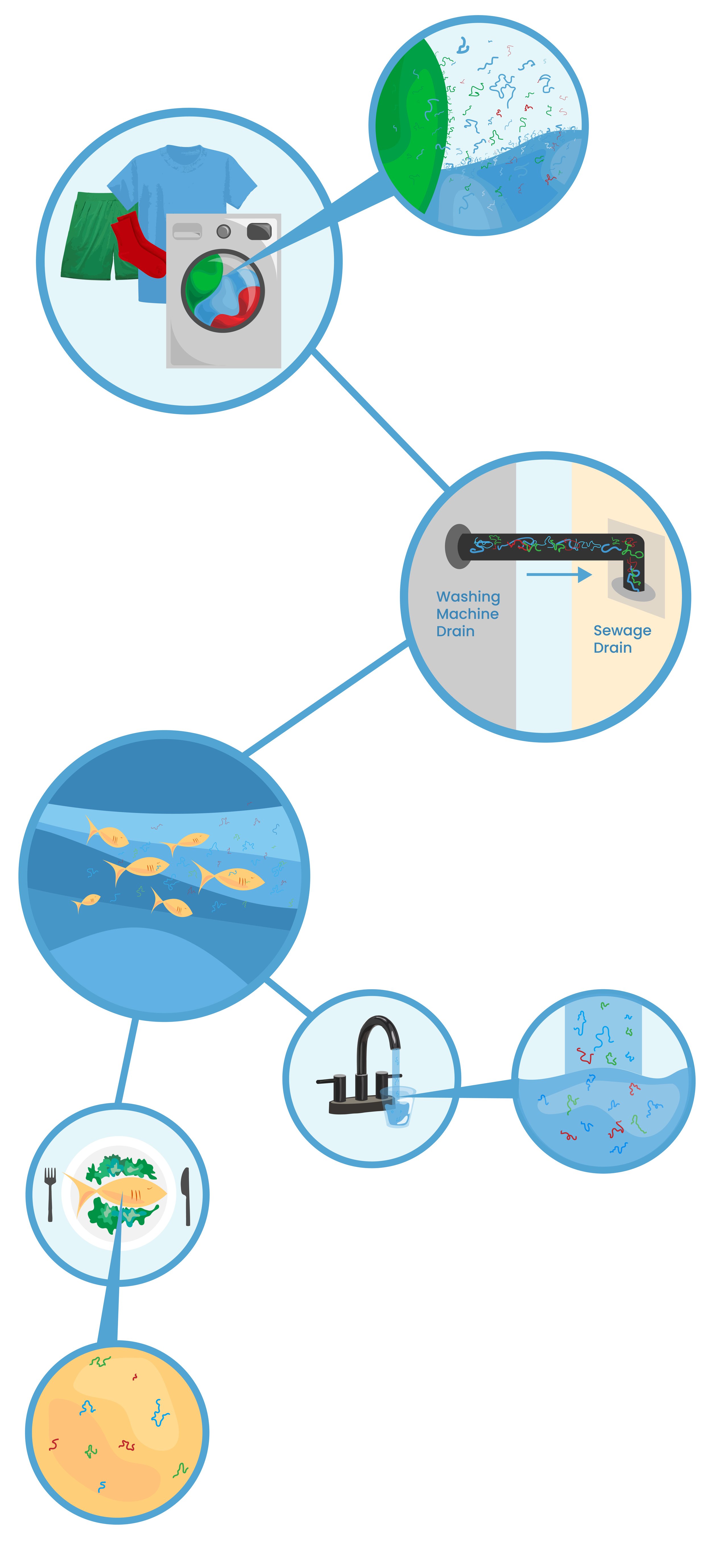 Microplastics Diagram - Vertical