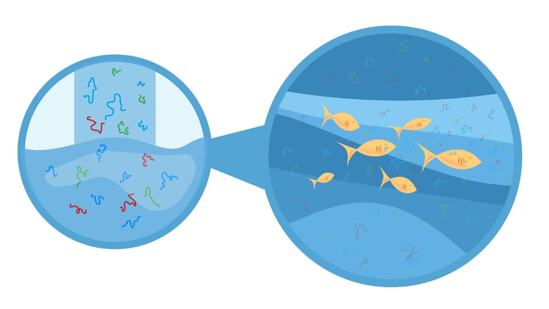 How microplastics can spread through water systems