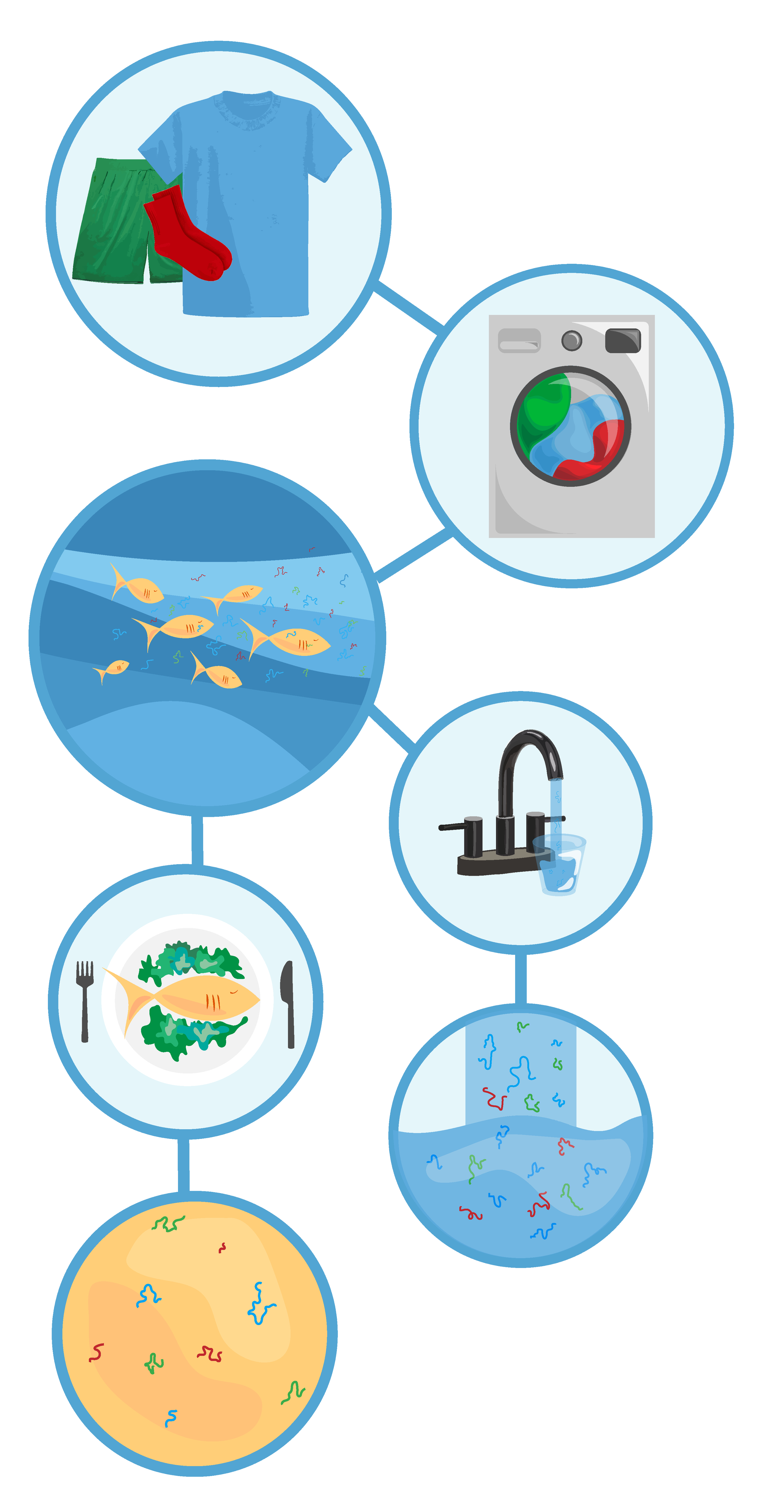 Microplastics Diagram - Vertical