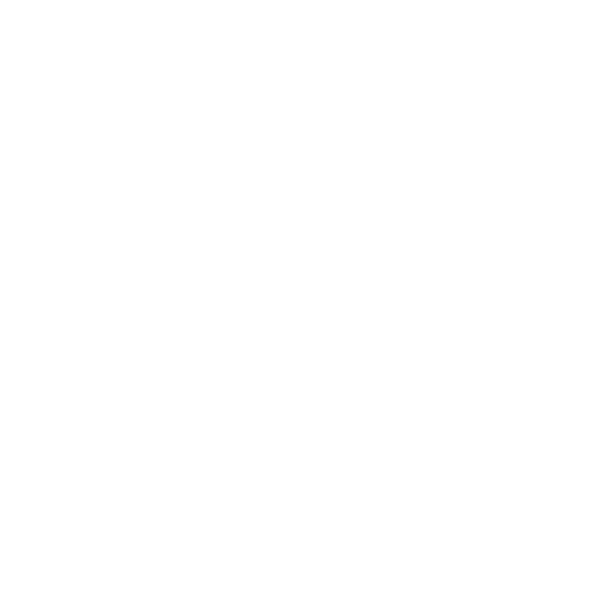 Copy icon