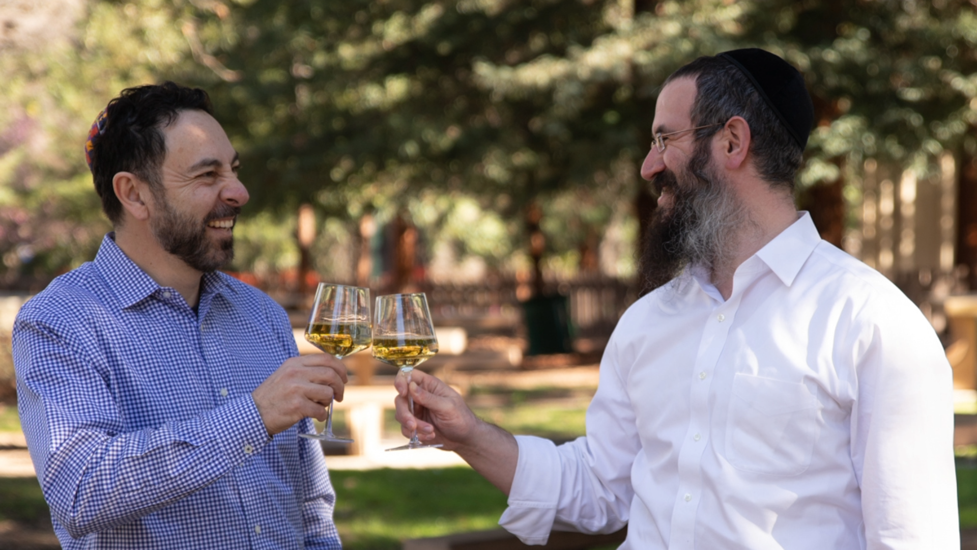 Dovber and Michael of Invei