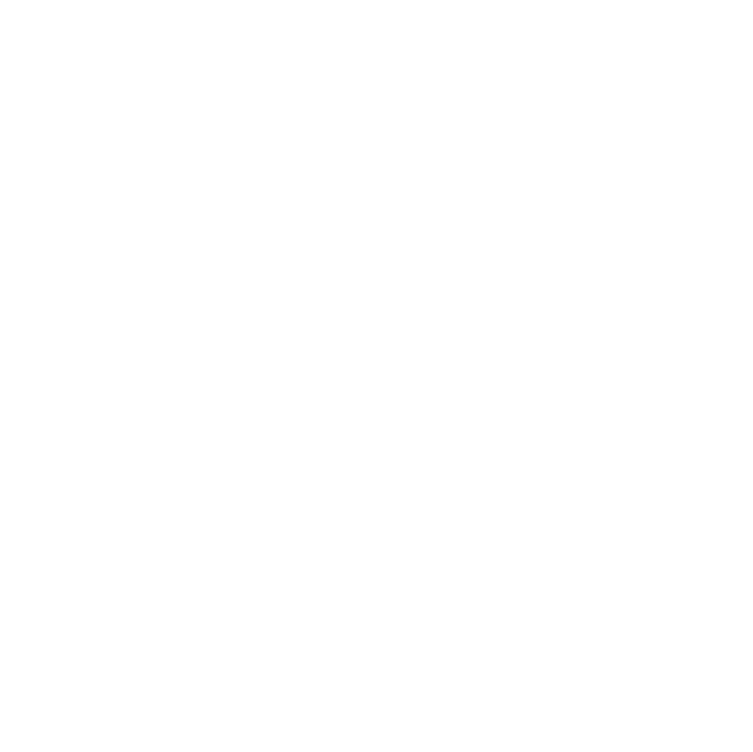 Spring Mill Bible Camp logo