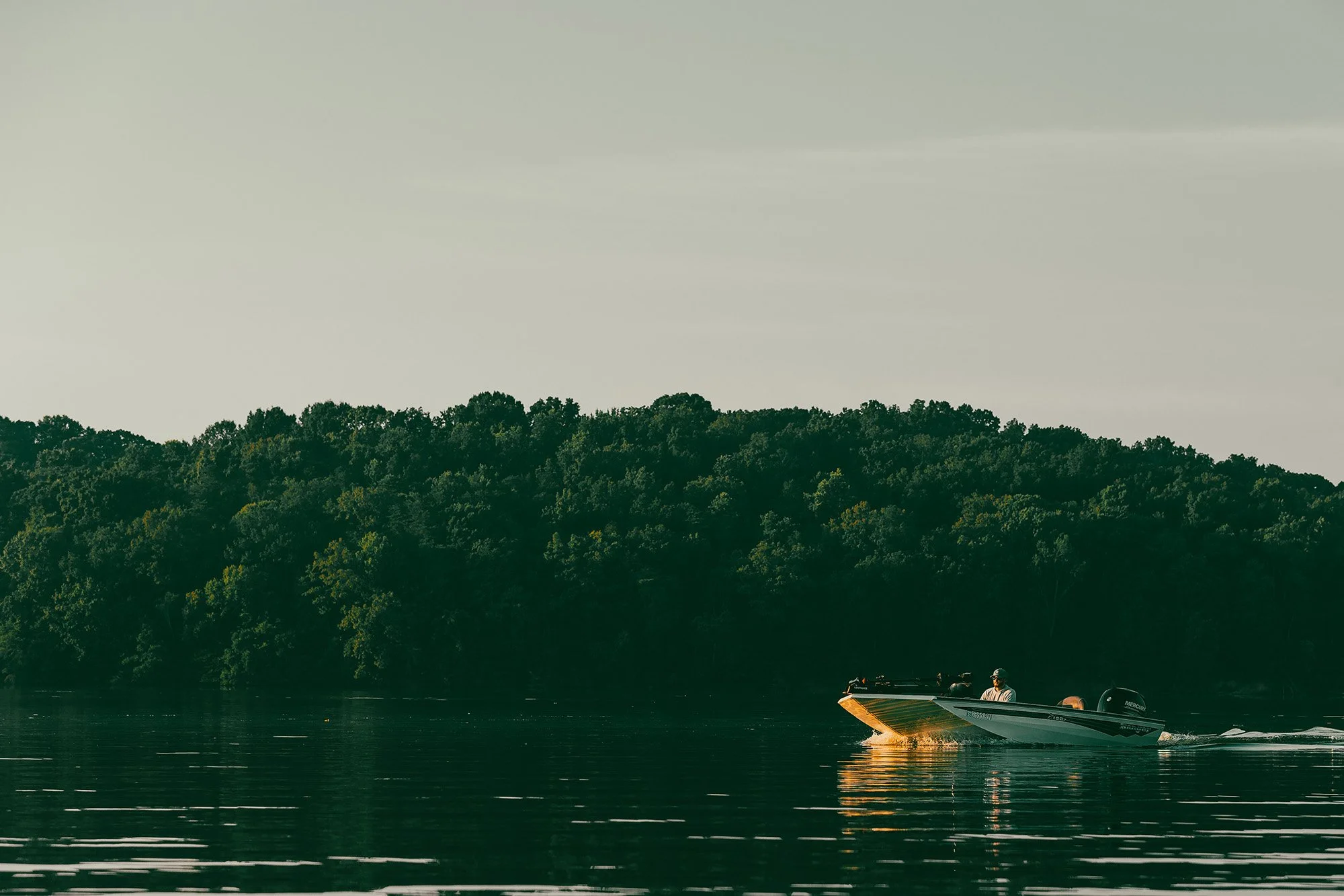 Fishing on Tellico Lake