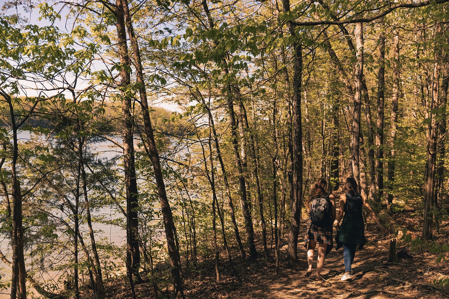 Hiking in Loudon County