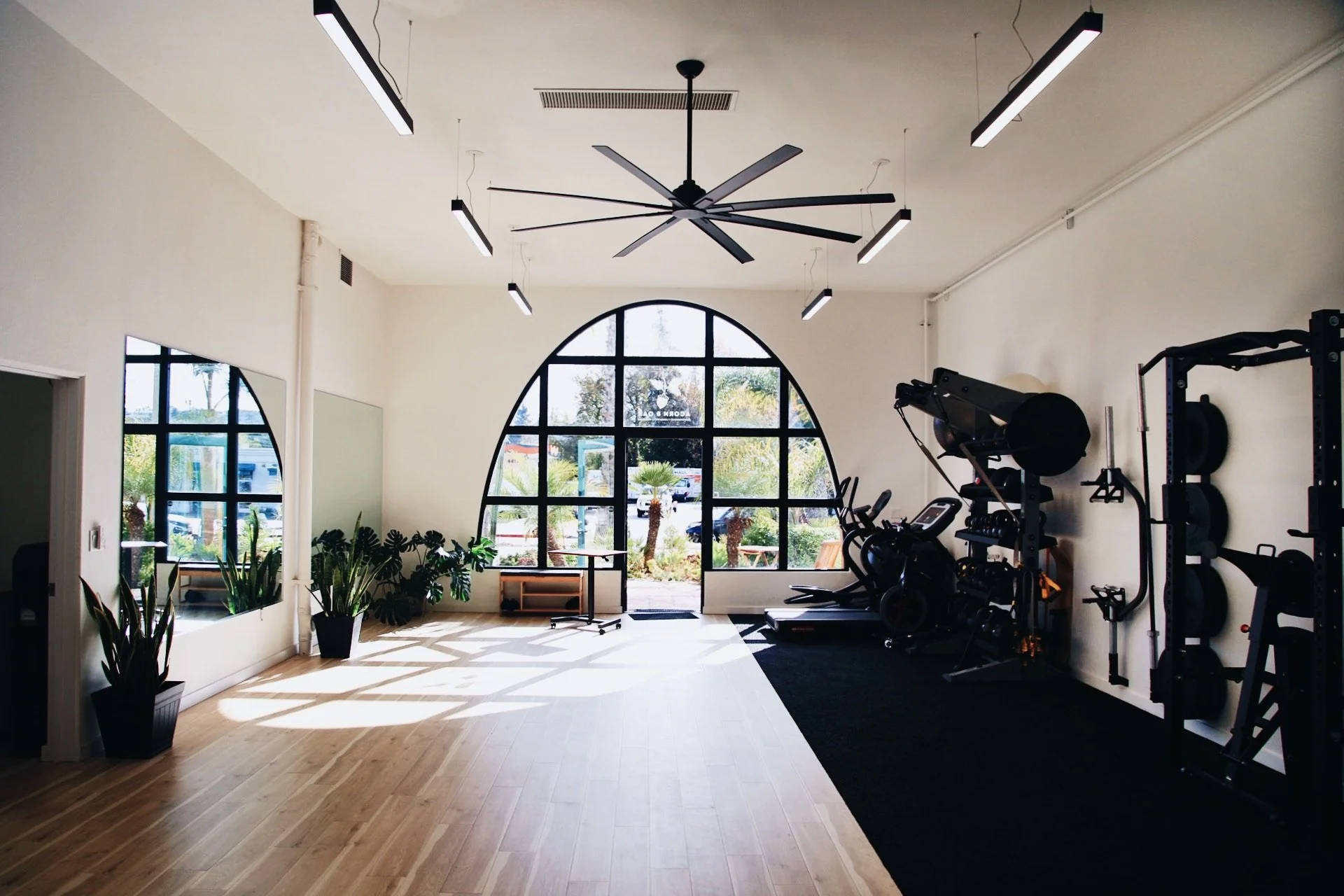 The Acorn & Oak training studio, with an arched window, wood floors, plants and strength equipment.