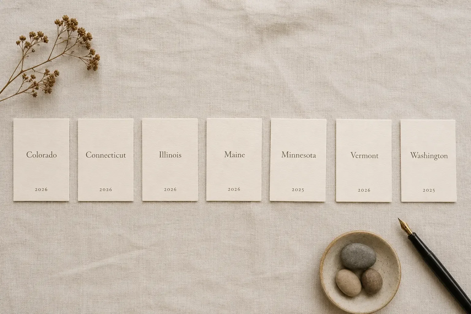 A flat-lay overhead view showing seven small index cards arranged in a horizontal row, each hand-lettered with one of the seven US state names that restricted PFAS in 2026 — Colorado, Connecticut, Illinois, Maine, Minnesota, Vermont, Washington — with small handwritten notes beside each card indicating the effective year.