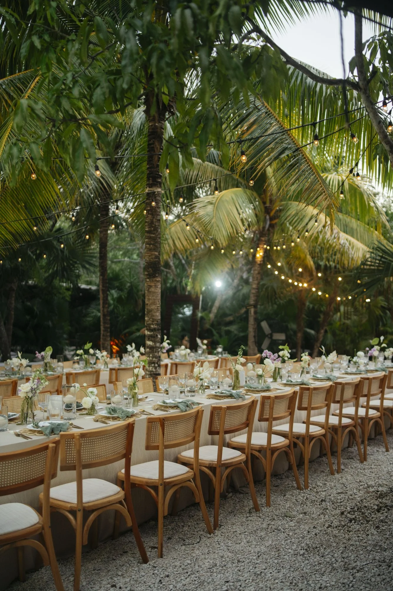 Long-table dinner under the palms in Tulum