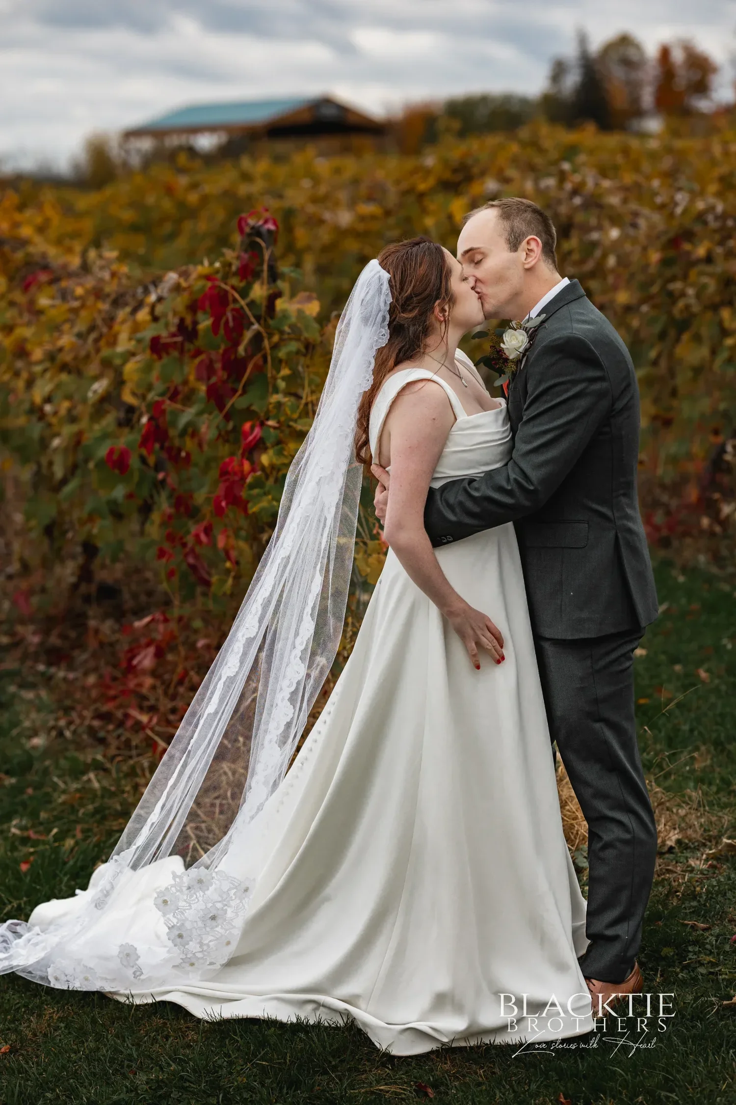 Anya and Gabe kissing between rows of red and gold vines at Glenora Wine Cellars