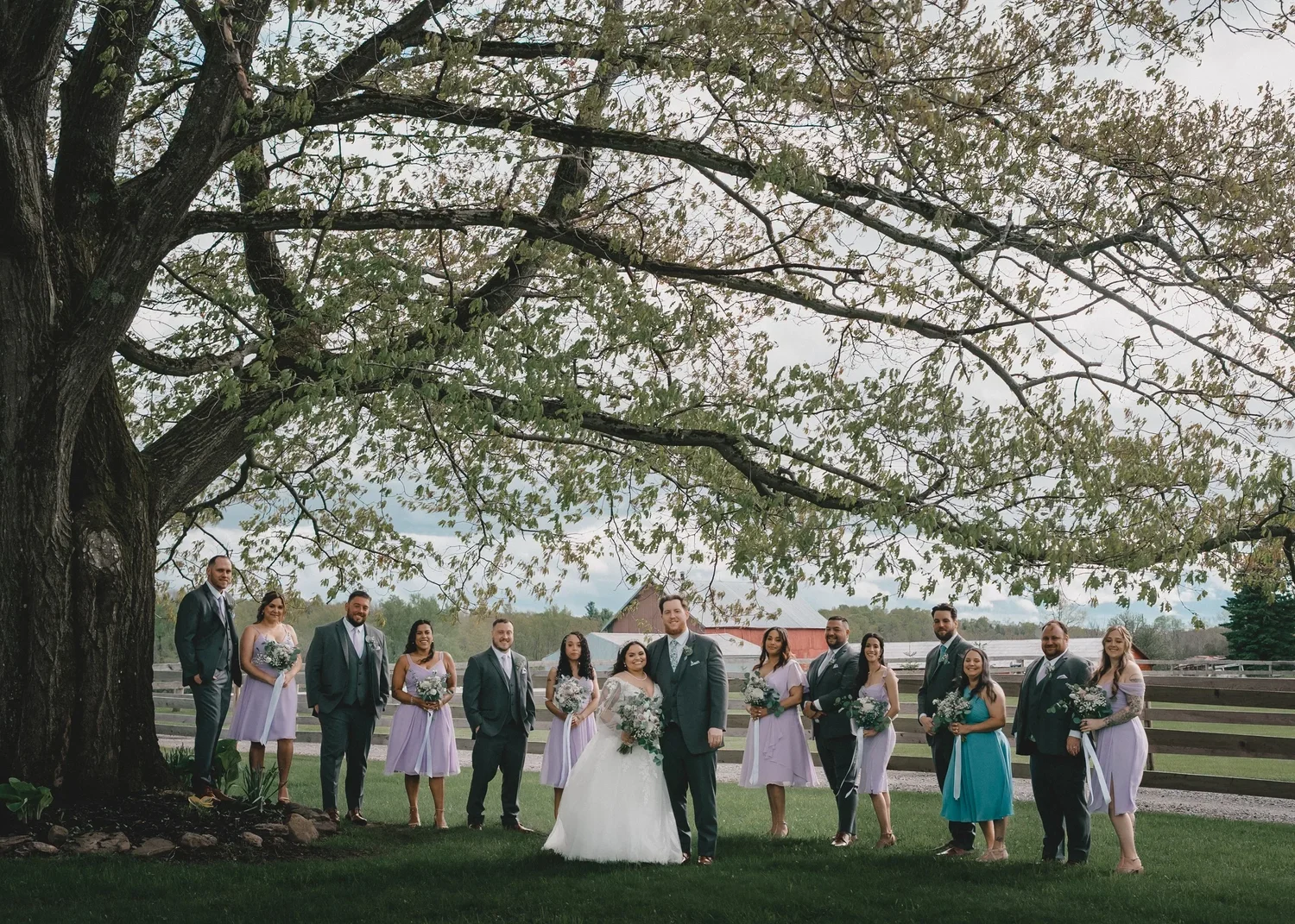 Jessica, Christian and their wedding party in lilac, teal and grey standing in a long line under a large tree, with a fence and red barns behind them
