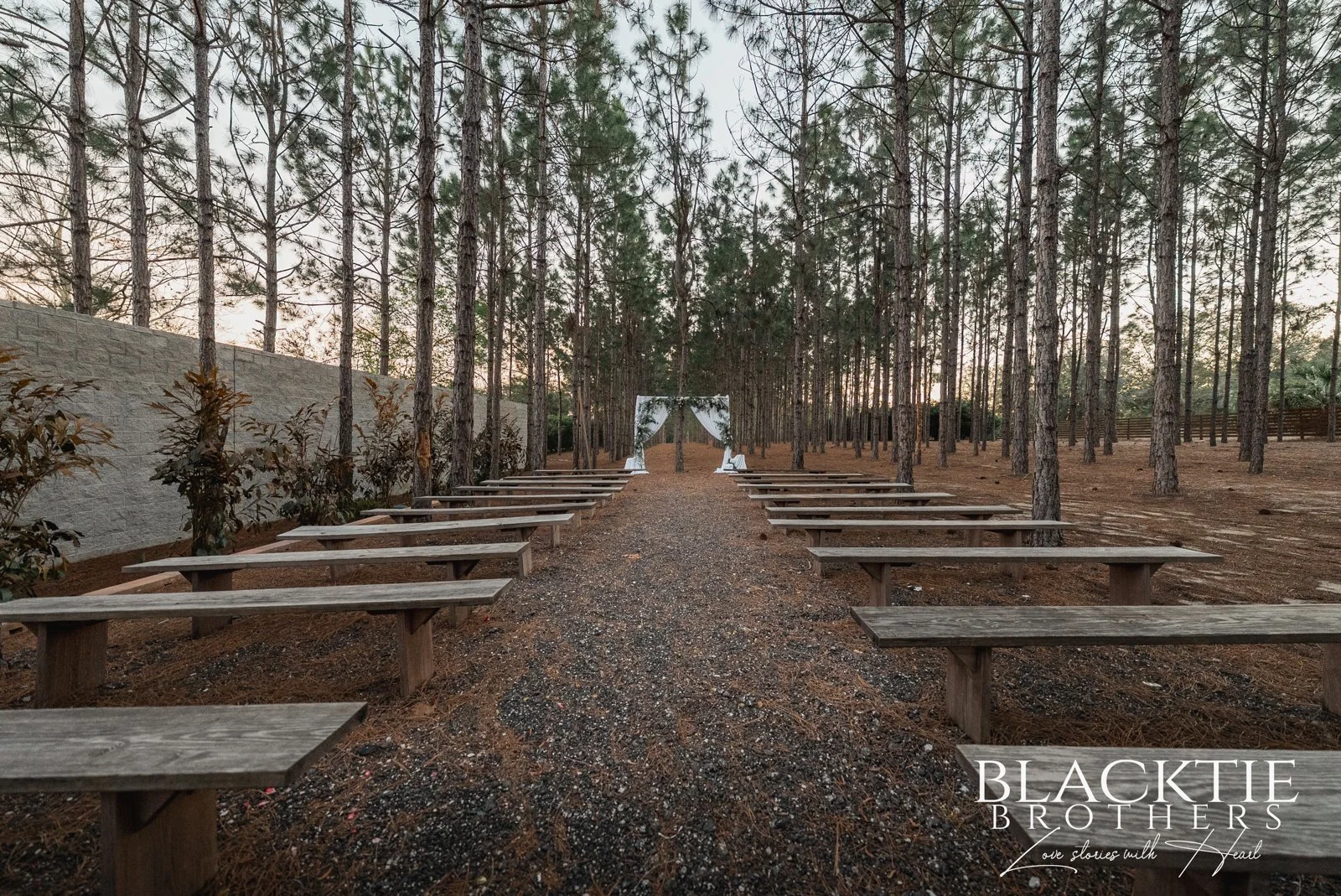 Wooden ceremony benches line a gravel aisle leading to a white-draped arch among pine trees.
