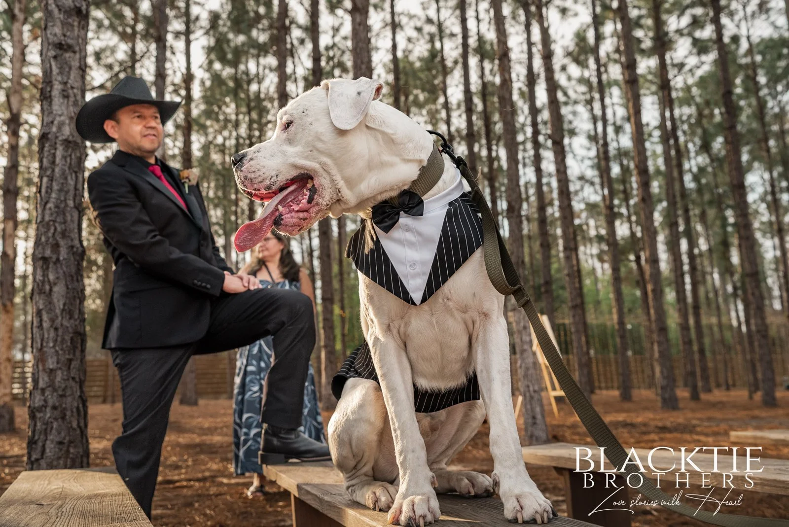 Alberto stands beside a white dog wearing a dark vest on a wooden bench among the pines.