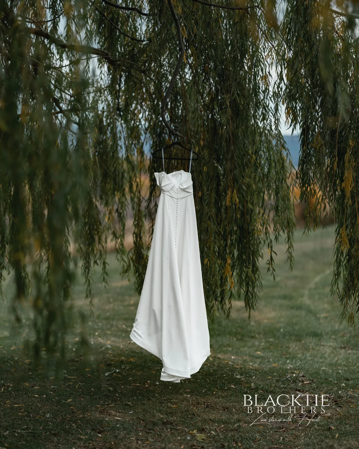 A white wedding dress hanging from a willow tree on the grounds at Glenora Wine Cellars