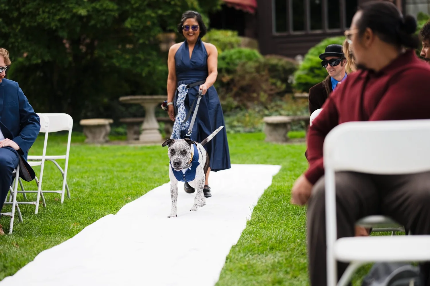 The couple’s spotted dog in a tiny navy suit, trotting down the aisle runner on the lawn on his leash