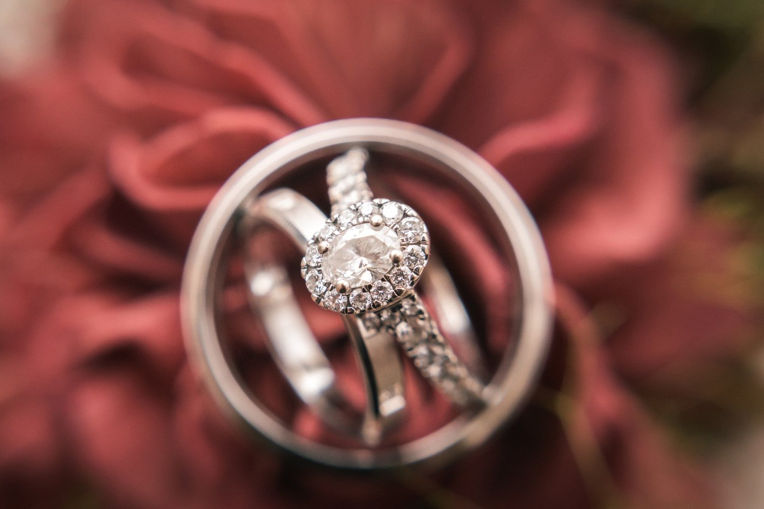 Laura and Dante’s wedding rings resting on deep red petals