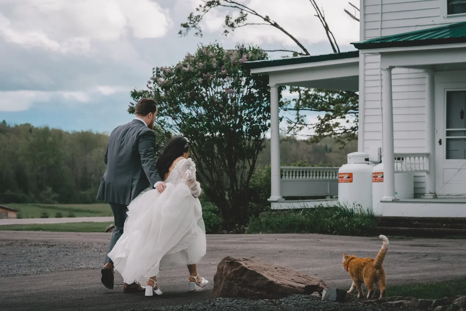 Jessica and Christian walking toward the farmhouse holding hands while an orange cat crosses the path behind them