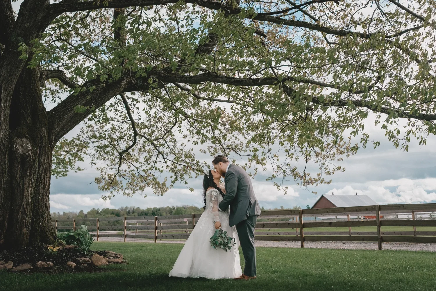 Jessica and Christian kissing under the spreading branches of a large tree on the lawn at Knotting Hill Farm