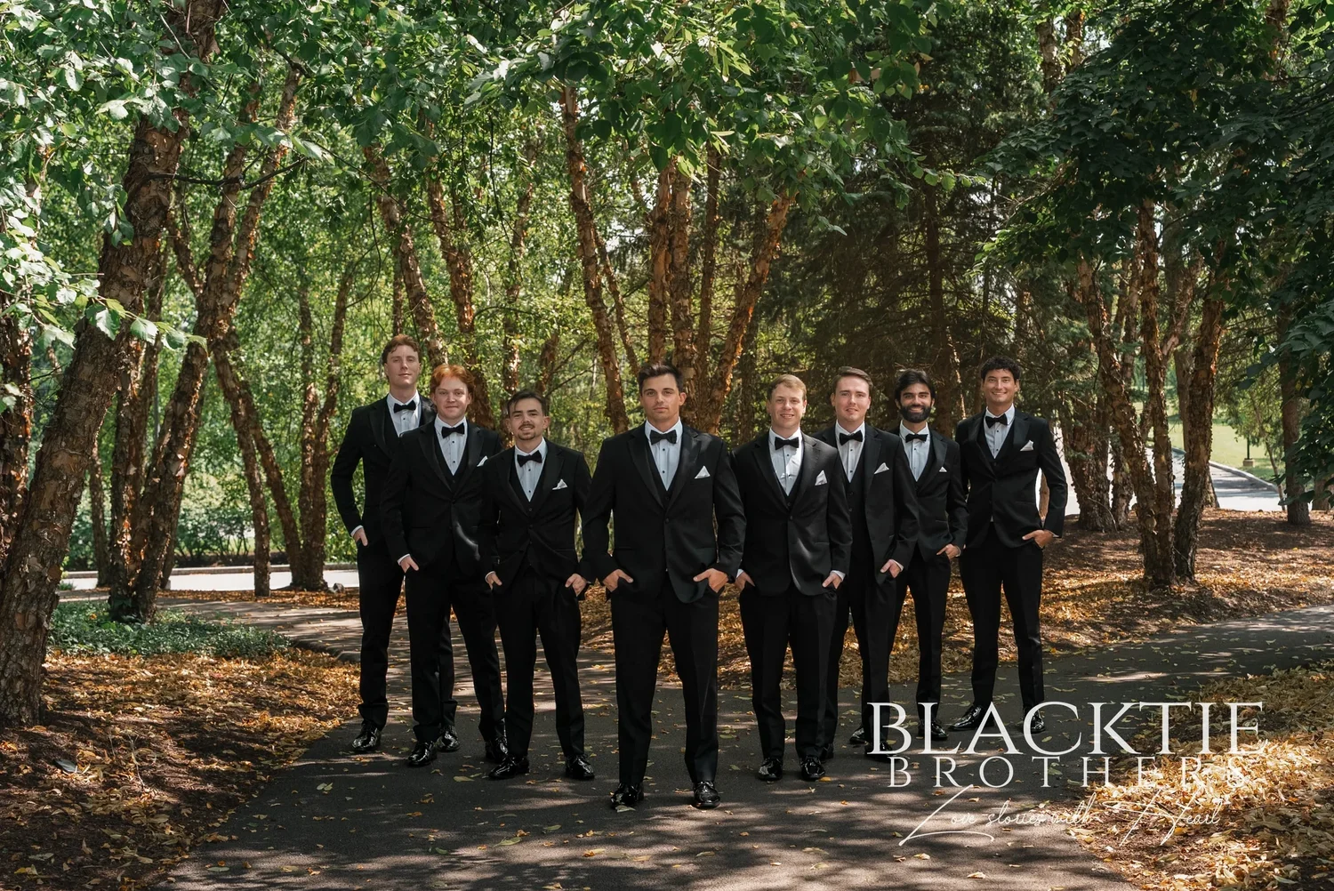 Groomsmen in black tie lined up on a path through the birch woods on the Allyn Lodge grounds.
