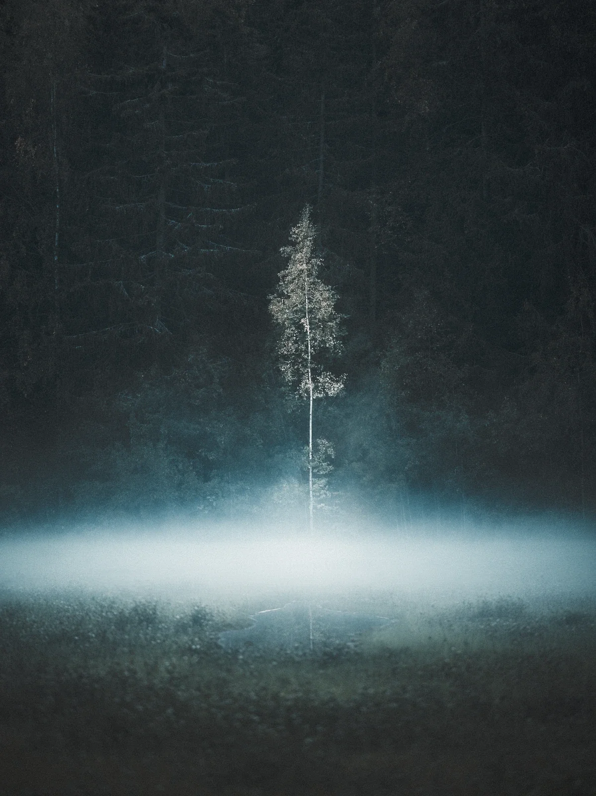 Moody cold mist photography by Mikko Lagerstedt