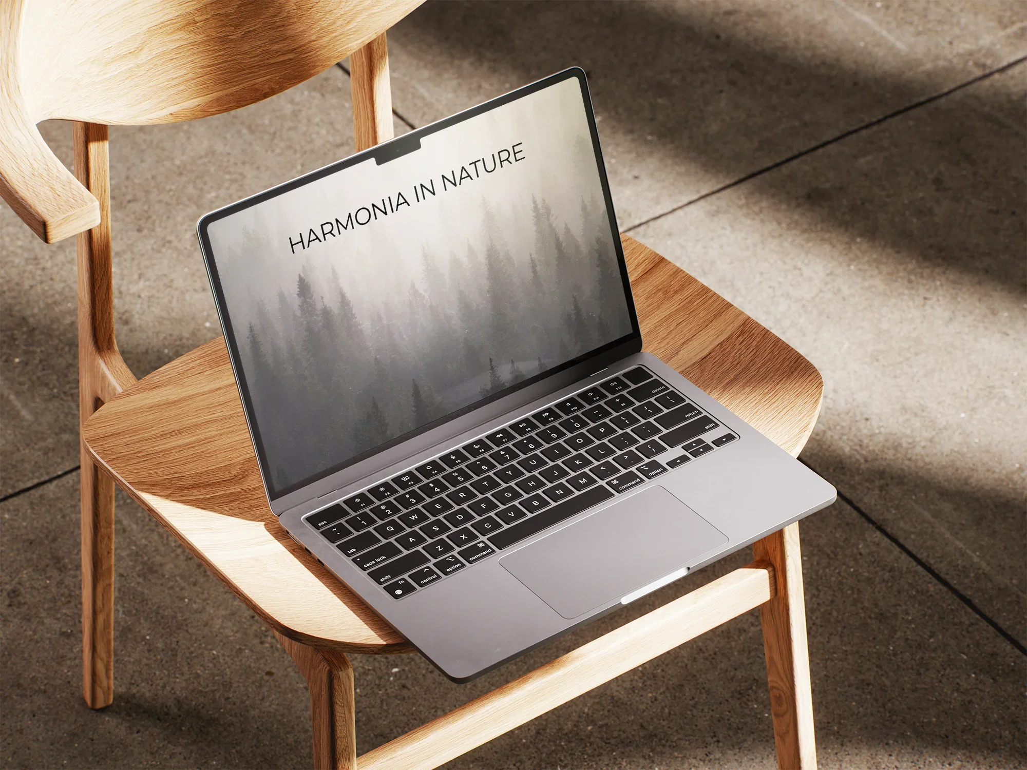 A laptop showing quiet, restrained landscape photography that invites deeper engagement