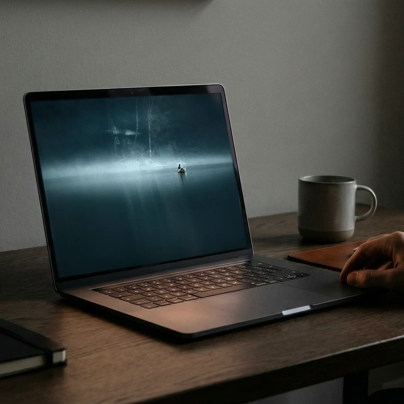 Restrained visual presentation on a laptop, emphasizing control and stability