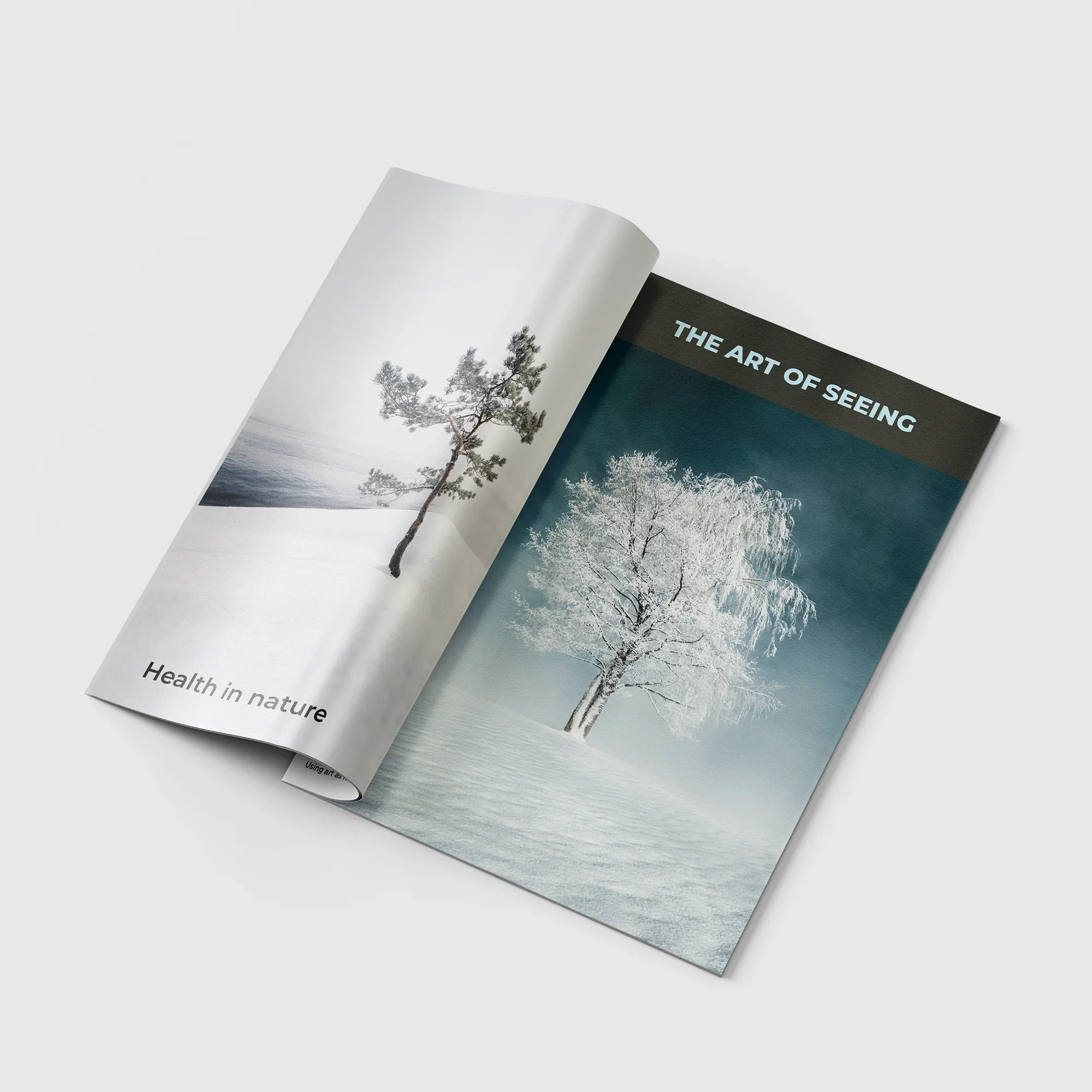 Quiet landscape imagery supporting an editorial narrative