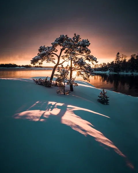 Silhouettes watching the night sky by Mikko Lagerstedt