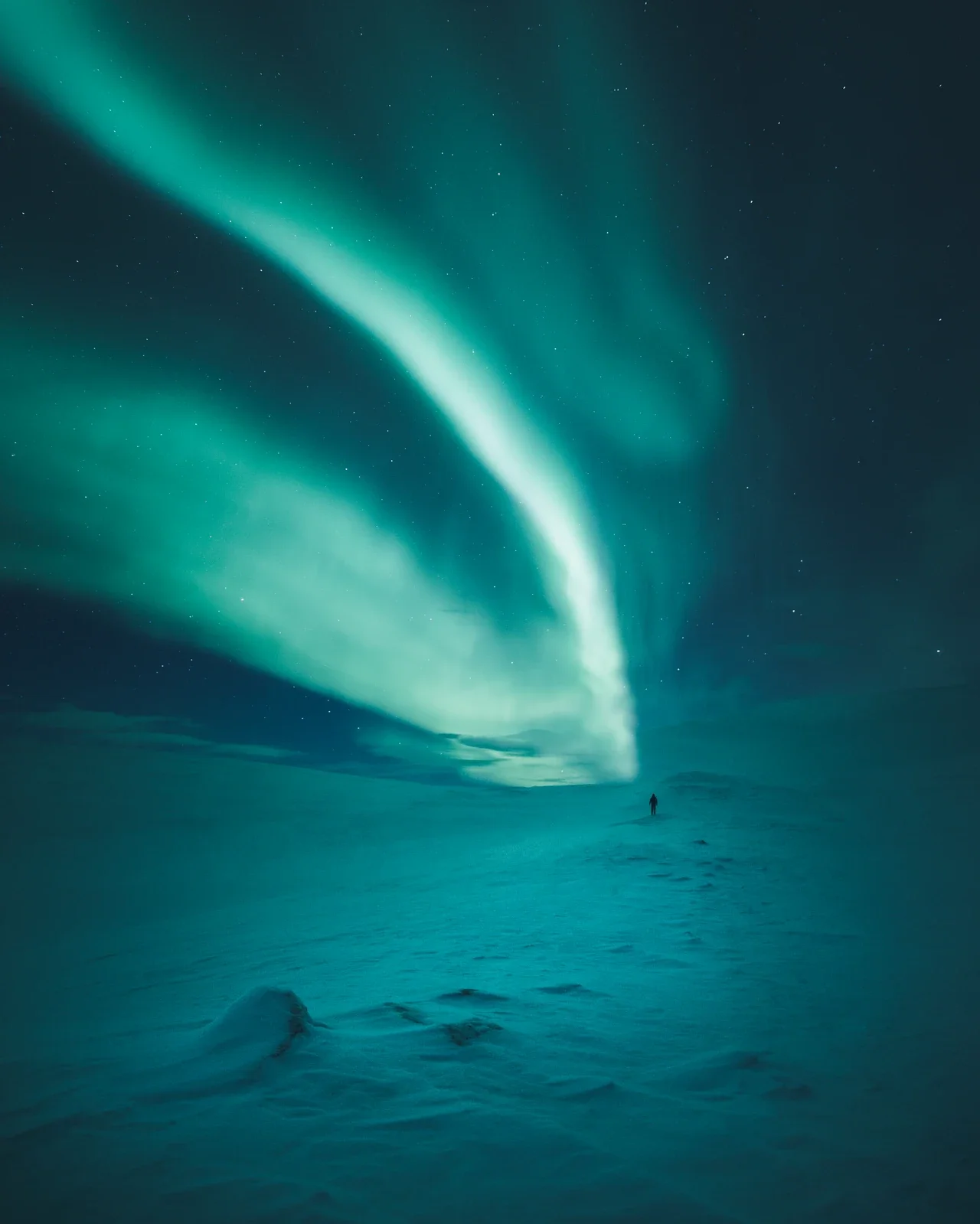 Borealis Northern Lights System