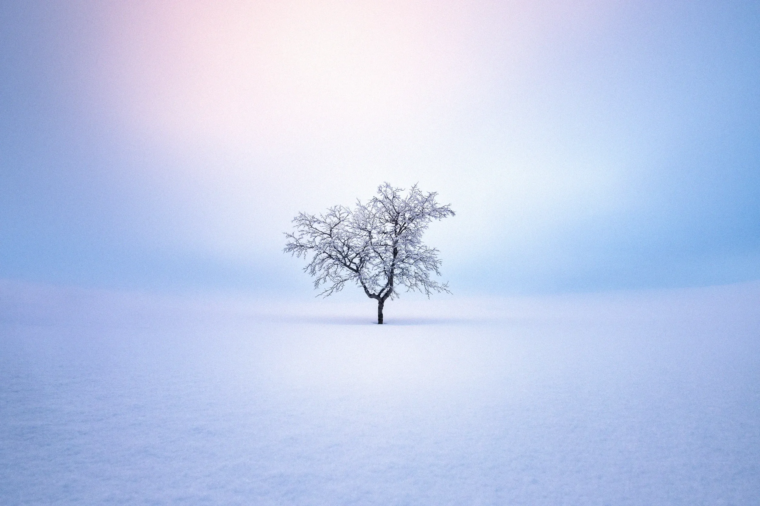 A curated collection of atmospheric prints demonstrating responsible visual selection